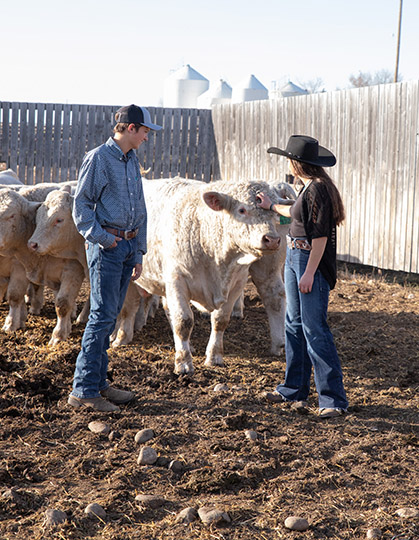 Jack and Abby with Charolais bulls